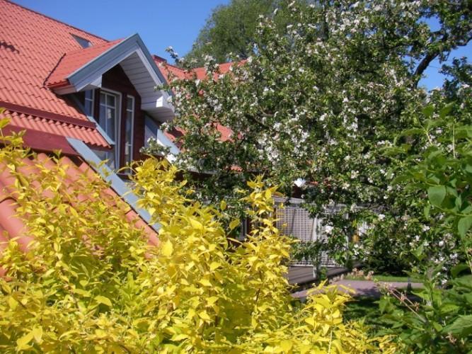 Apartamentai Obelyne Palanga Exterior photo